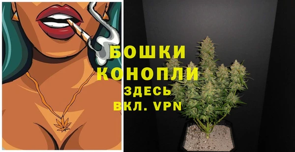 тгк Богородицк