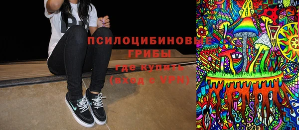 тгк Богородицк