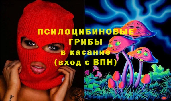 тгк Богородицк