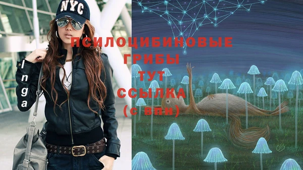2c-b Богданович