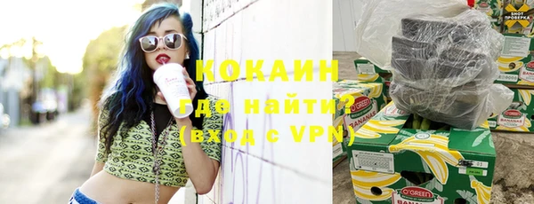 спайс Ладушкин